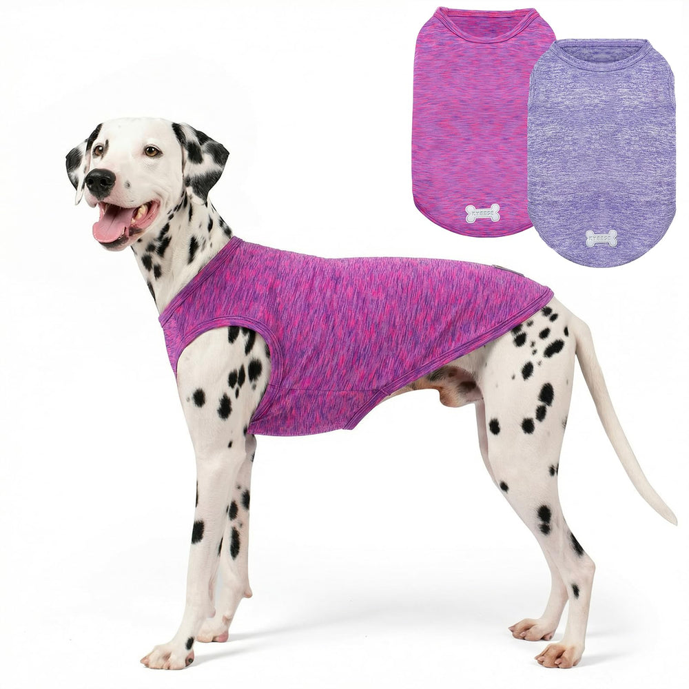 KYEESE tee-shirt chien séchage rapide pour le confort après la baignade.