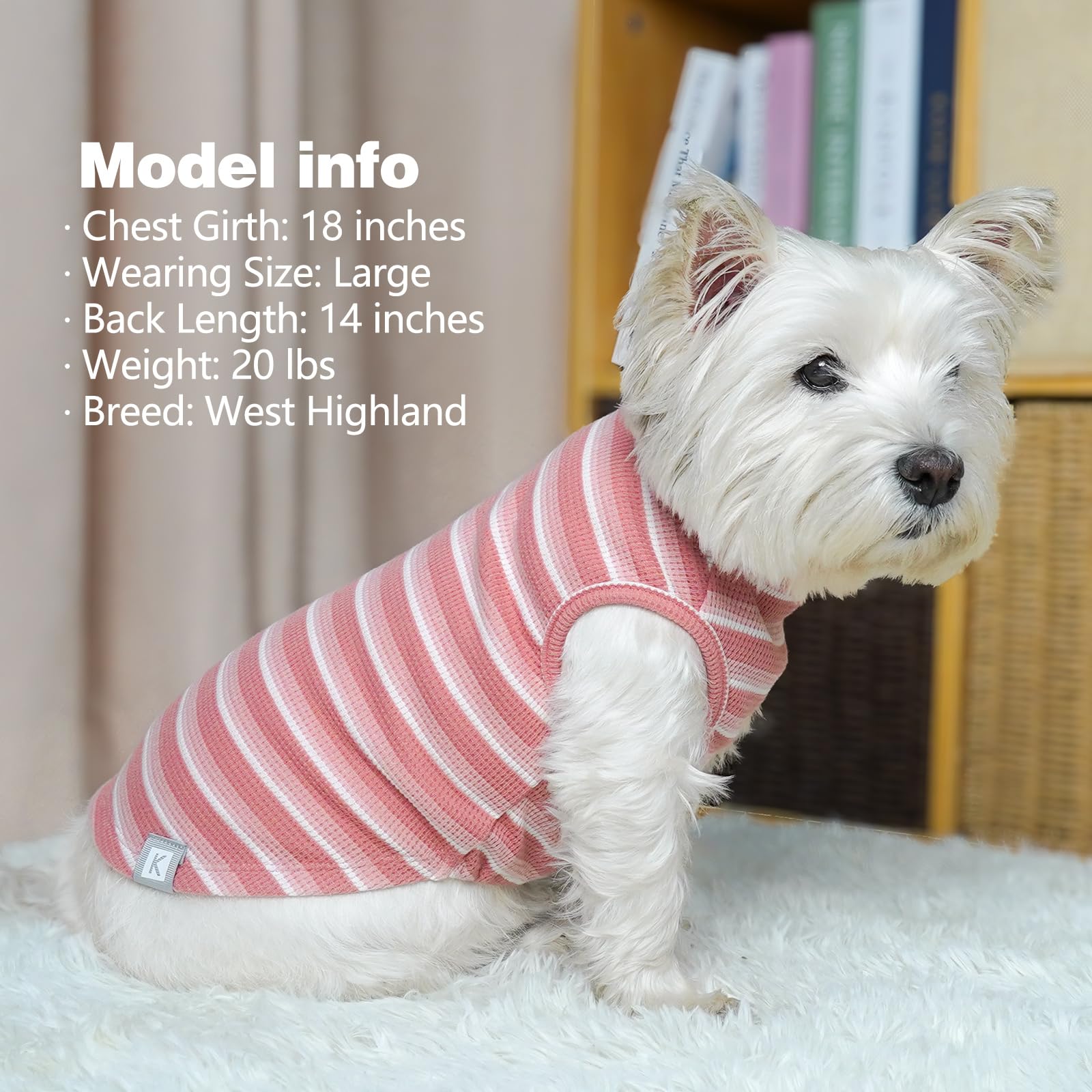 KYEESE t-shirt chien rose face avant, design simple et élégant.