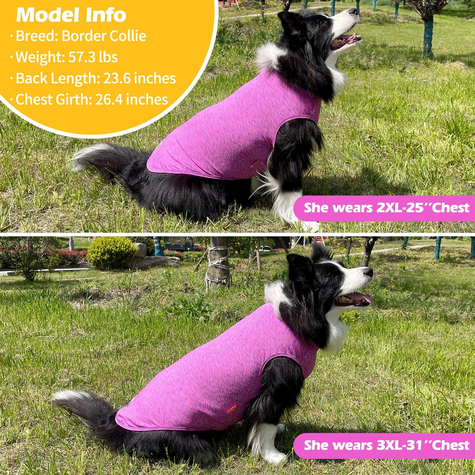 KYEESE veste chien sans manches athlétique offre liberté de mouvement.