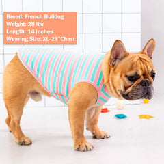 KYEESE vetement-chien etiquette refle chissante rose XL visibilite soir