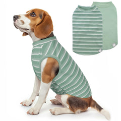 Haut KYEESE en maille-waffle vert pour chien, confort et aération.