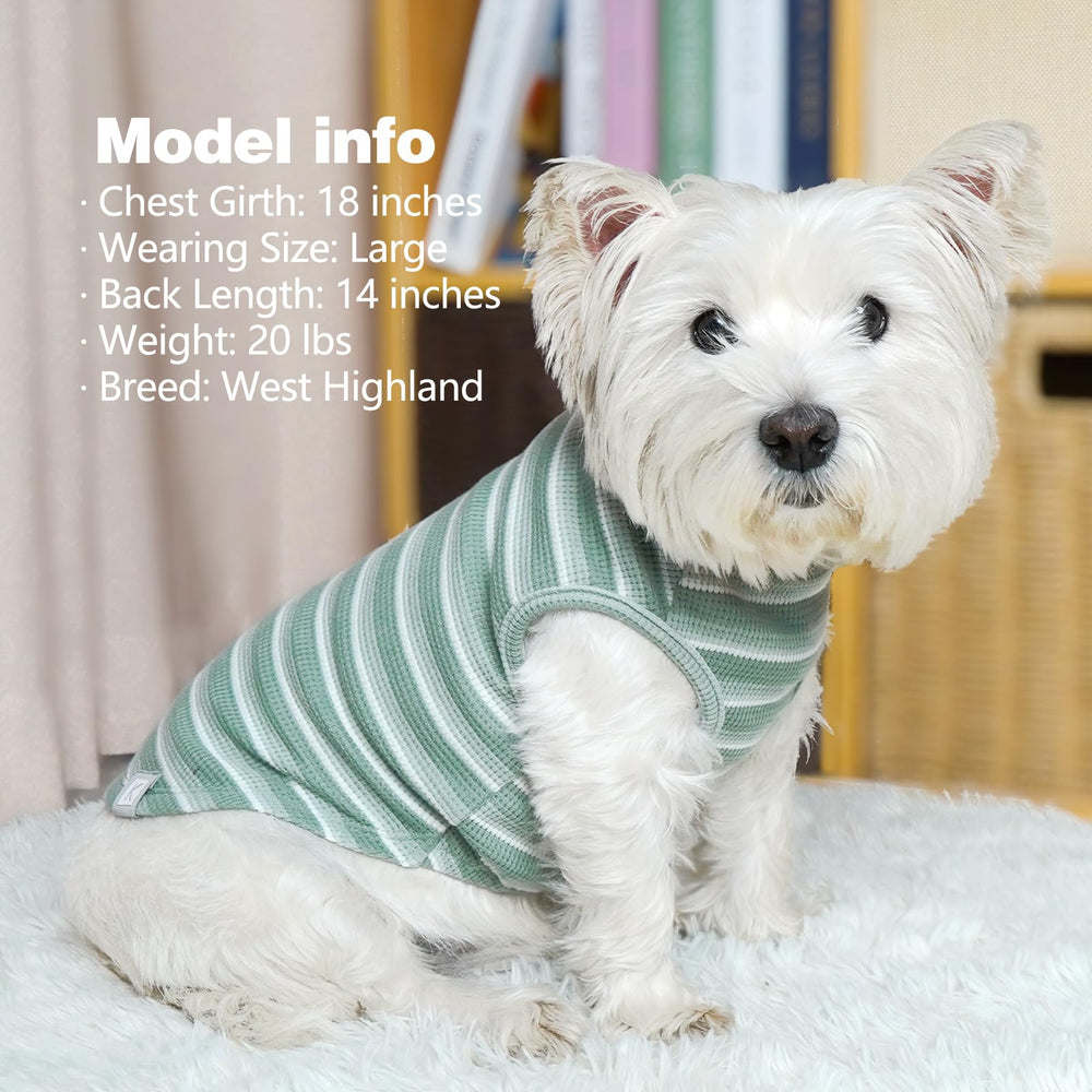 KYEESE gilet chien waffle lot de 2, pratique pour l’entretien.