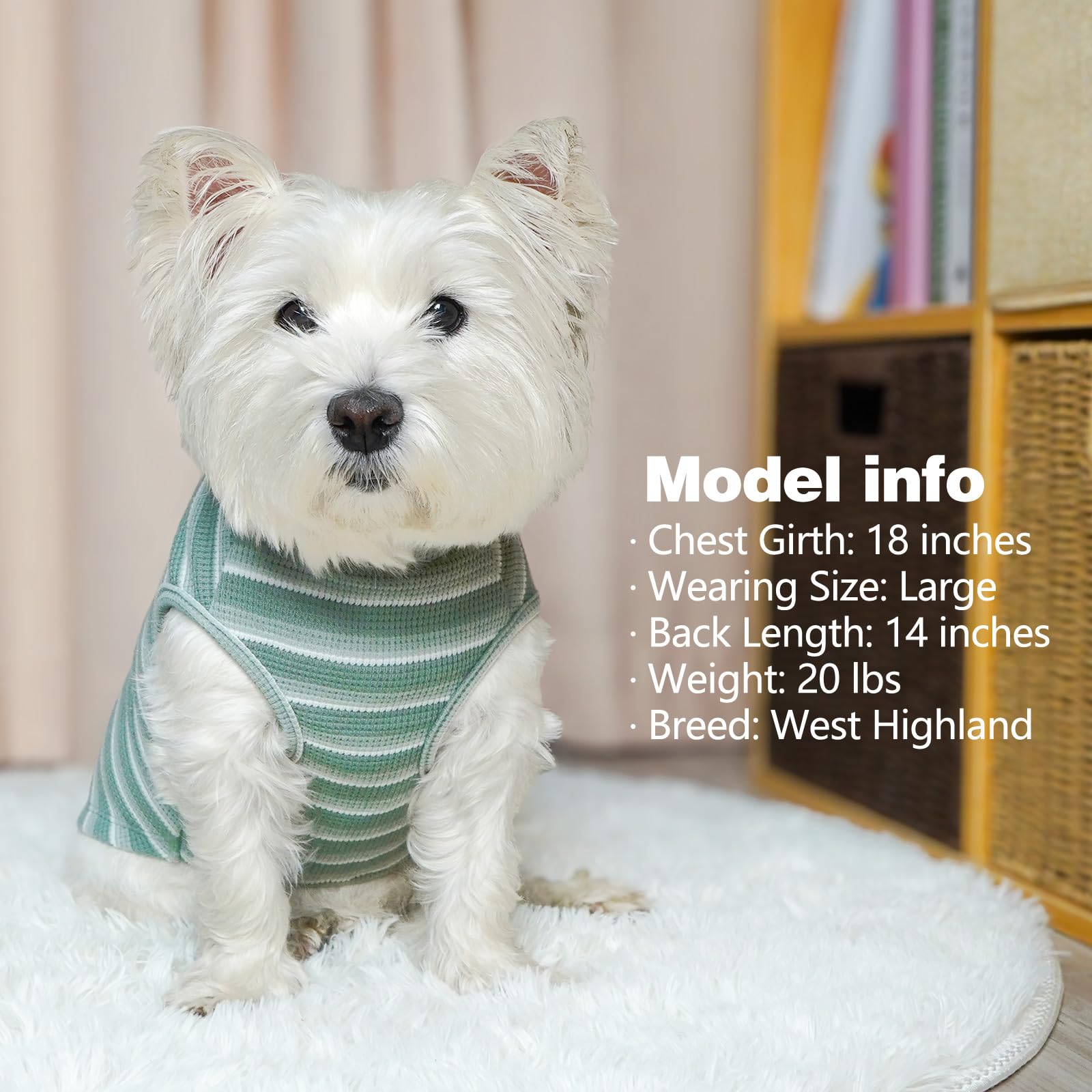 KYEESE gilet chien waffle guide des tailles clair.