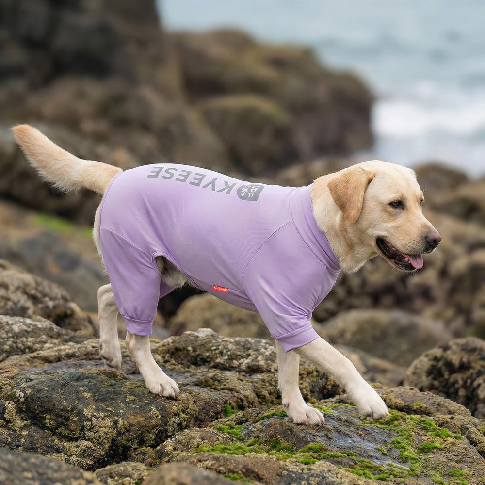 KYEESE chien-violet-t-shirt: t-shirt violet pour chien au look estival