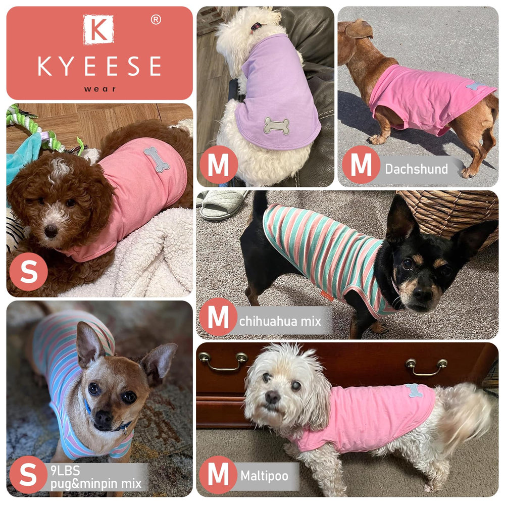 KYEESE guide taille M pour petites races