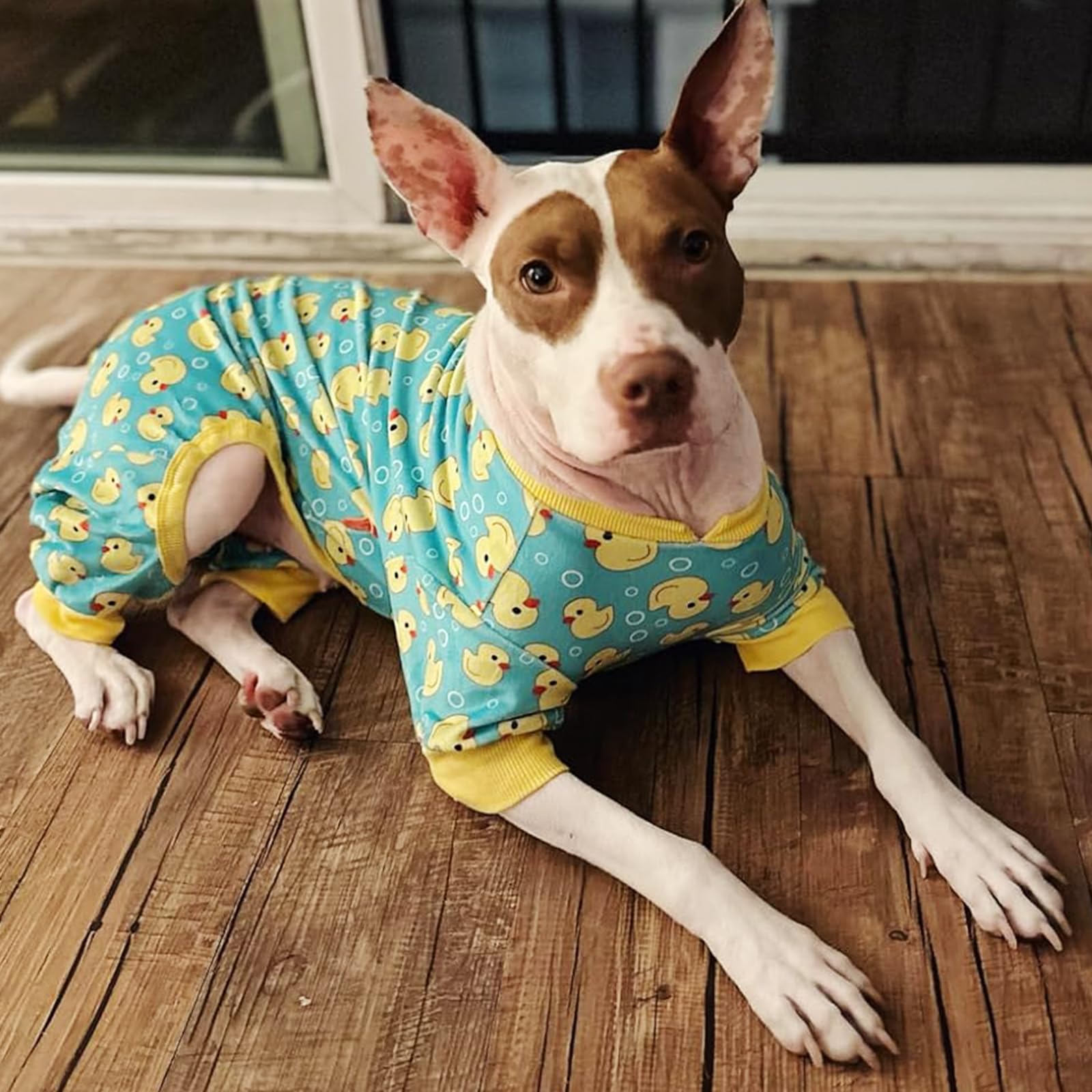 KYEESE pyjama chien velours canard jaune, facile à enfiler.