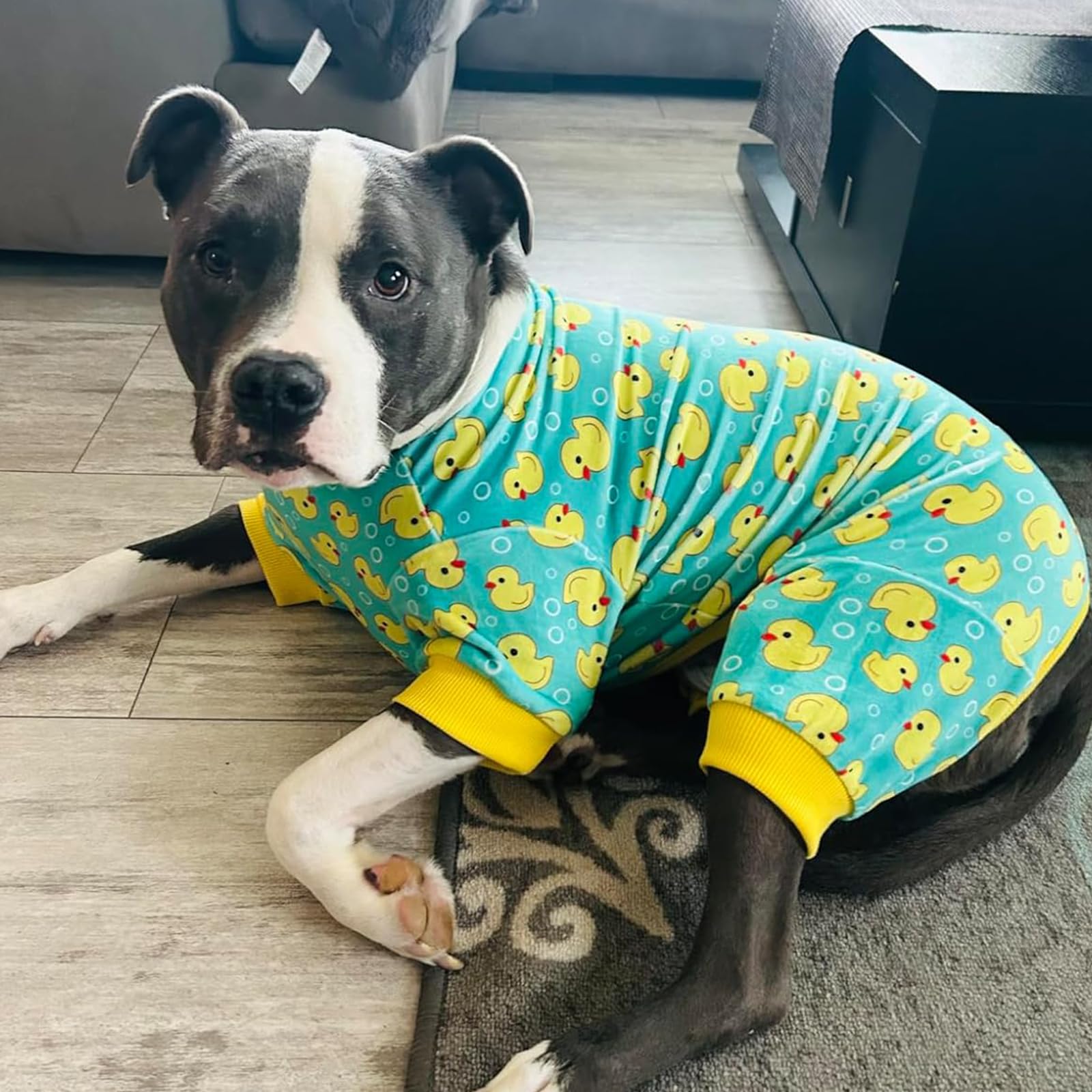 KYEESE pyjama chien velours canard jaune, design durable et pratique.