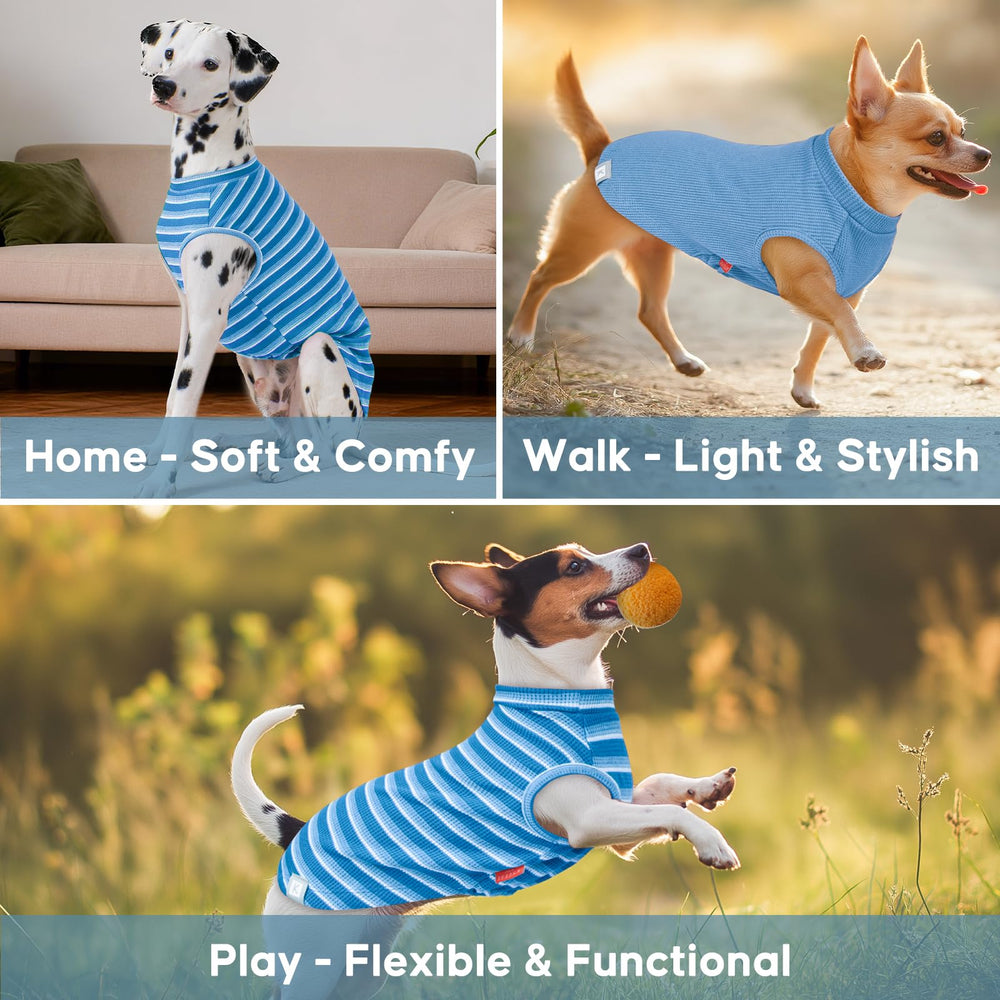 Veste KYEESE d utilisation quotidienne, tissu respirant pour chien actif.