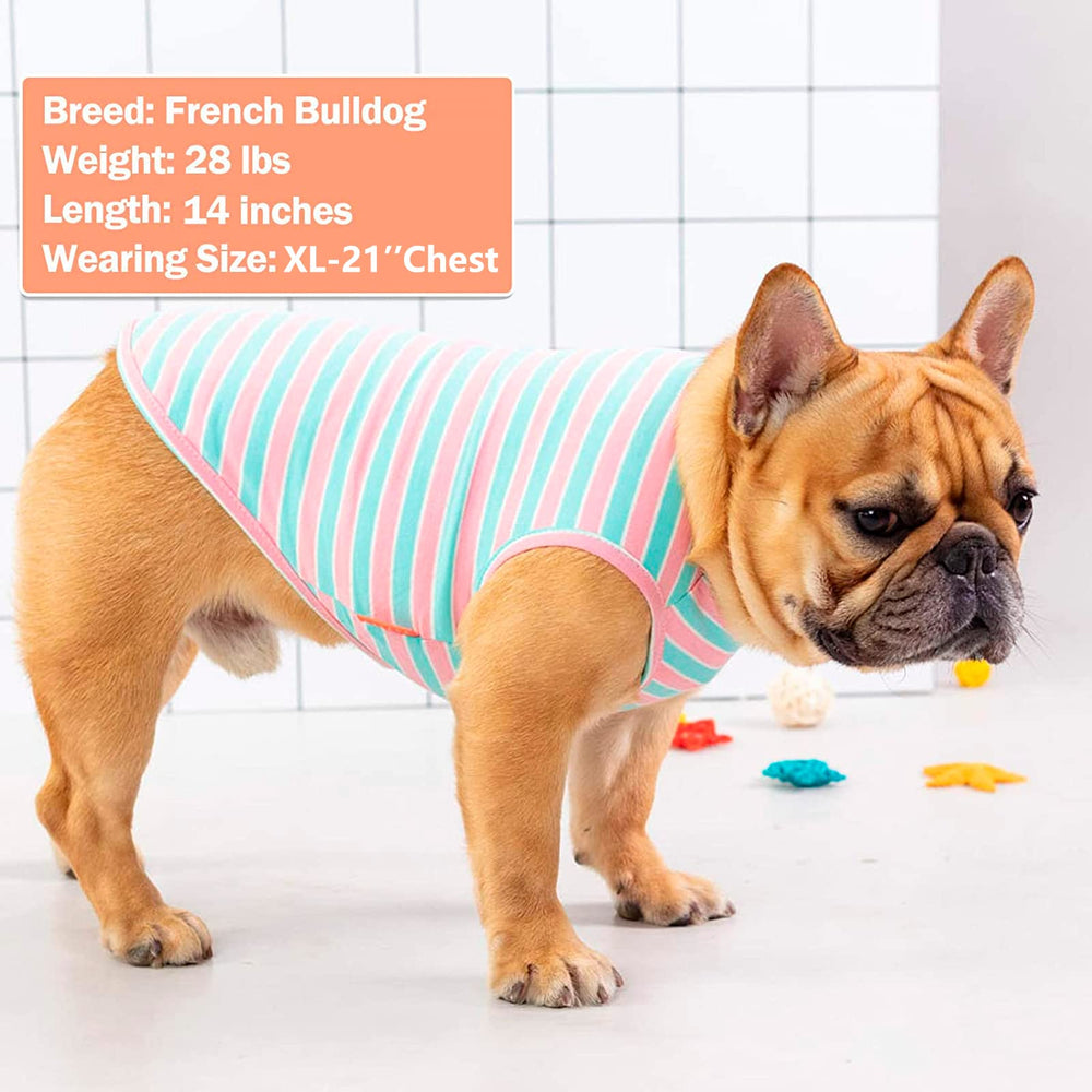 KYEESE guide tailles chien pour un ajustement optimal.