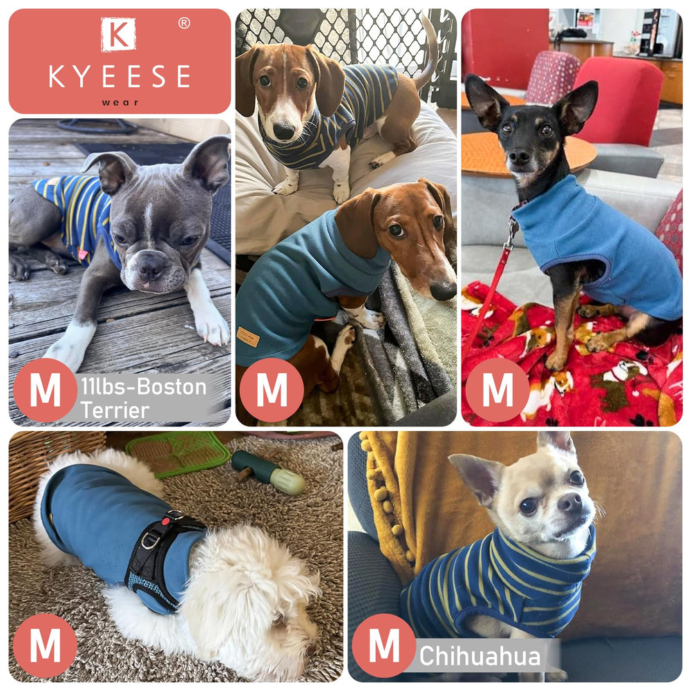 KYEESE pull-chien pour promenades hivernales en confort.