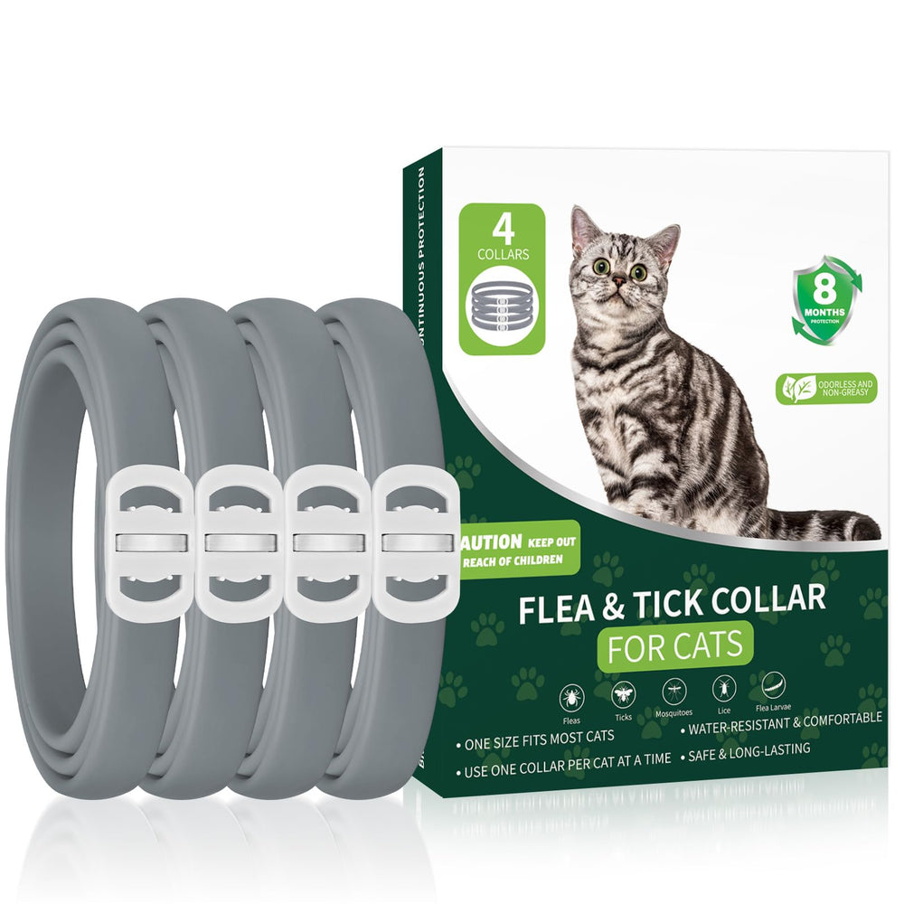 KYGNE collier antipuces chat gris, protège durablement contre puces et tiques.