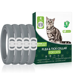 KYGNE collier antipuces chat gris, protège durablement contre puces et tiques.