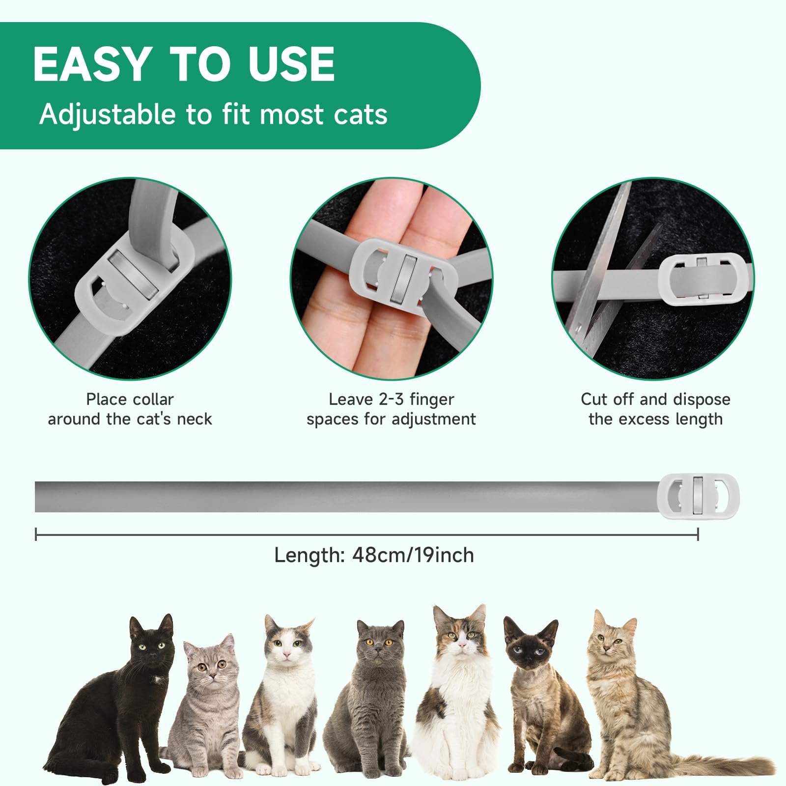 KYGNE collier antipuces chat gris, idéal pour aventures en plein air.