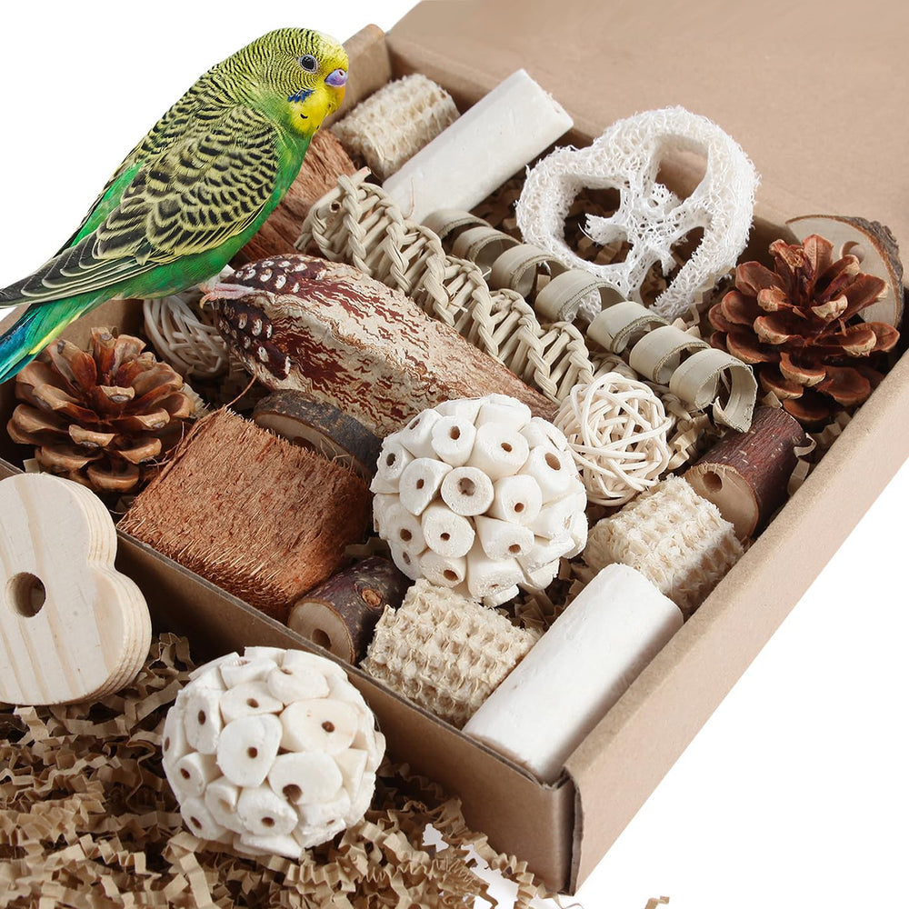 Kyouki boîte-forage naturelle pour oiseaux, stimulation et exploration