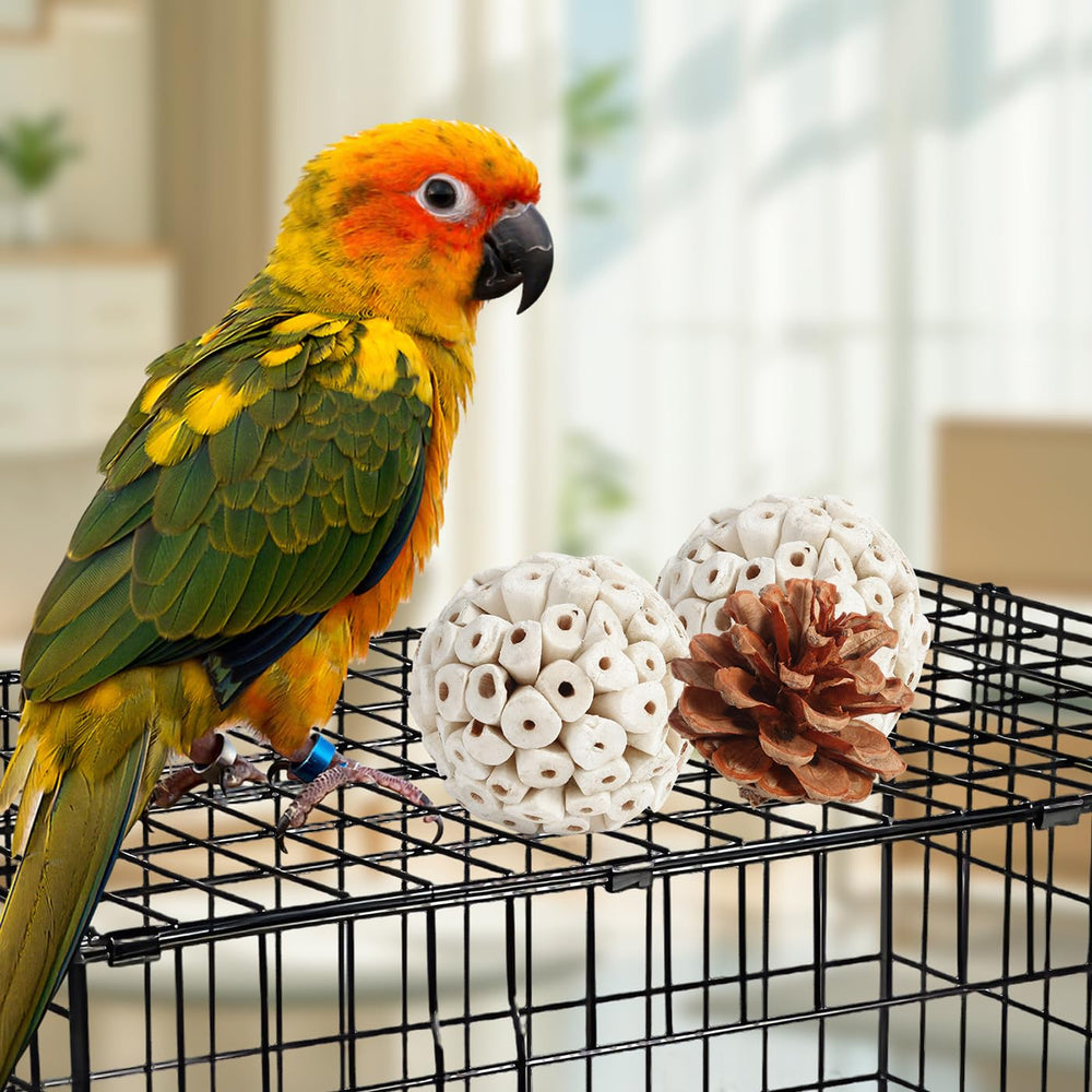 Kyouki boules-wicker, manipulation et enrichment sensoriel