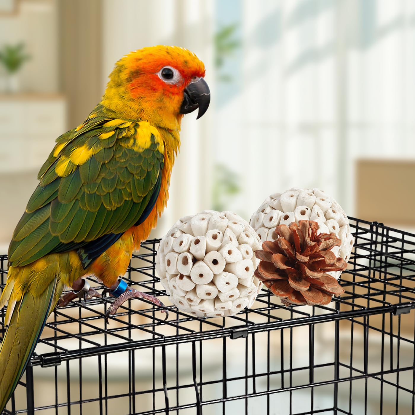 Kyouki boules-wicker, manipulation et enrichment sensoriel