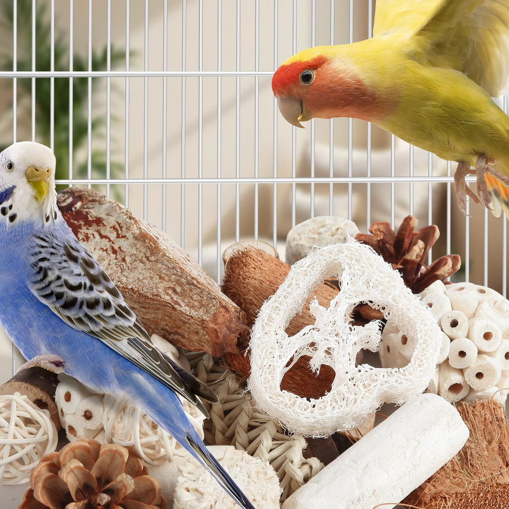 Kyouki seagrass-fibres, puzzles et exploration pour oiseaux