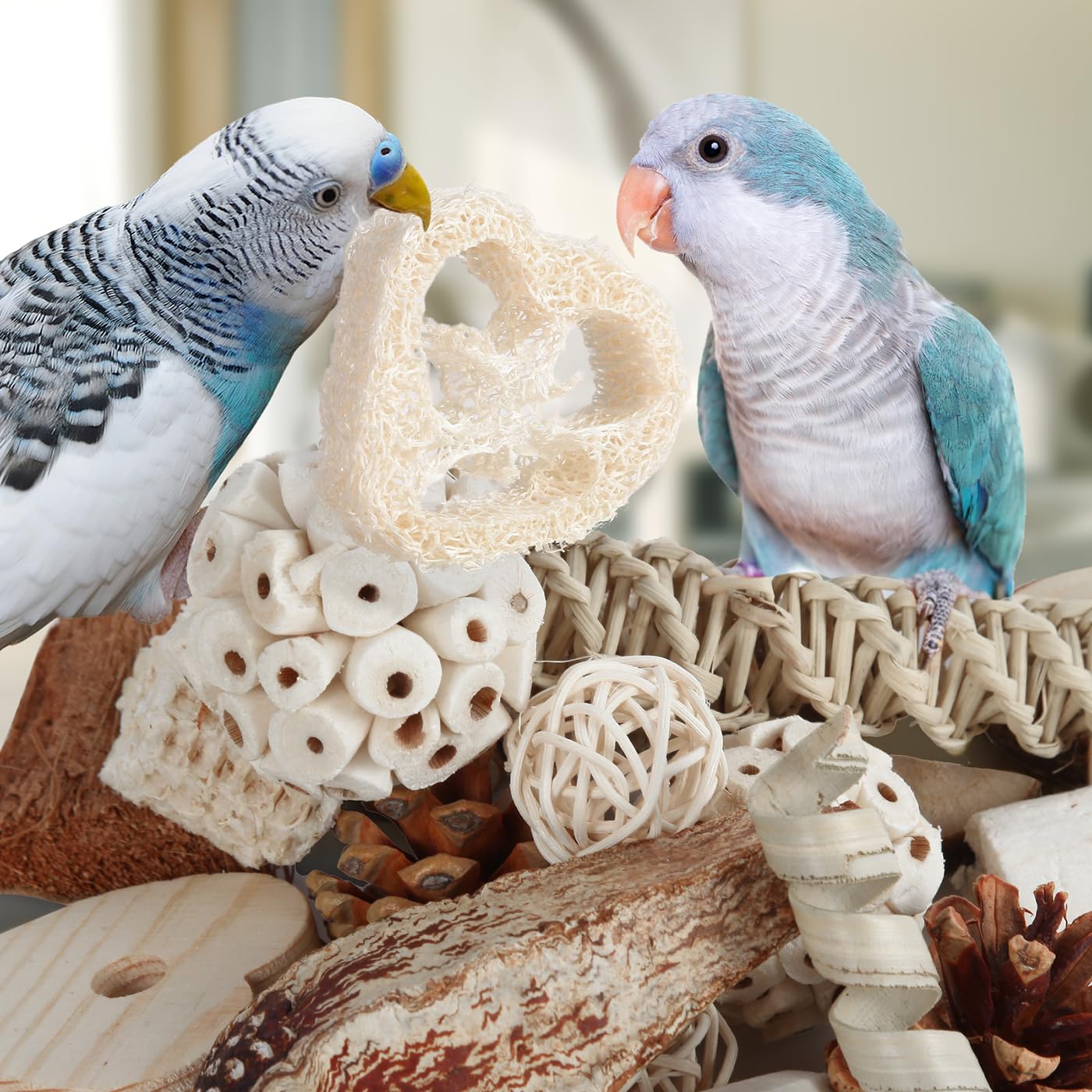 Kyouki textures-multiples, routine quotidienne variée pour oiseaux