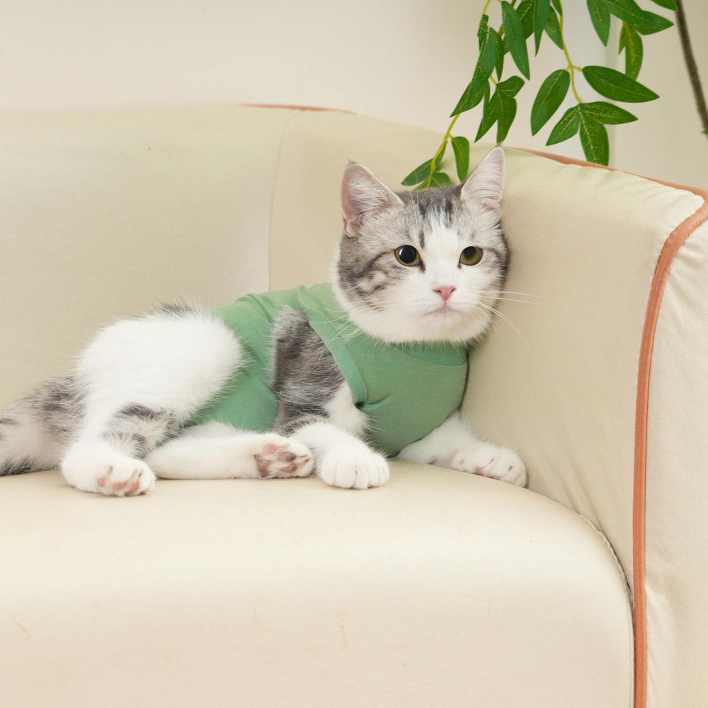 Le costume kzrfojy pour chat, lavage facile, ne se déforme pas.