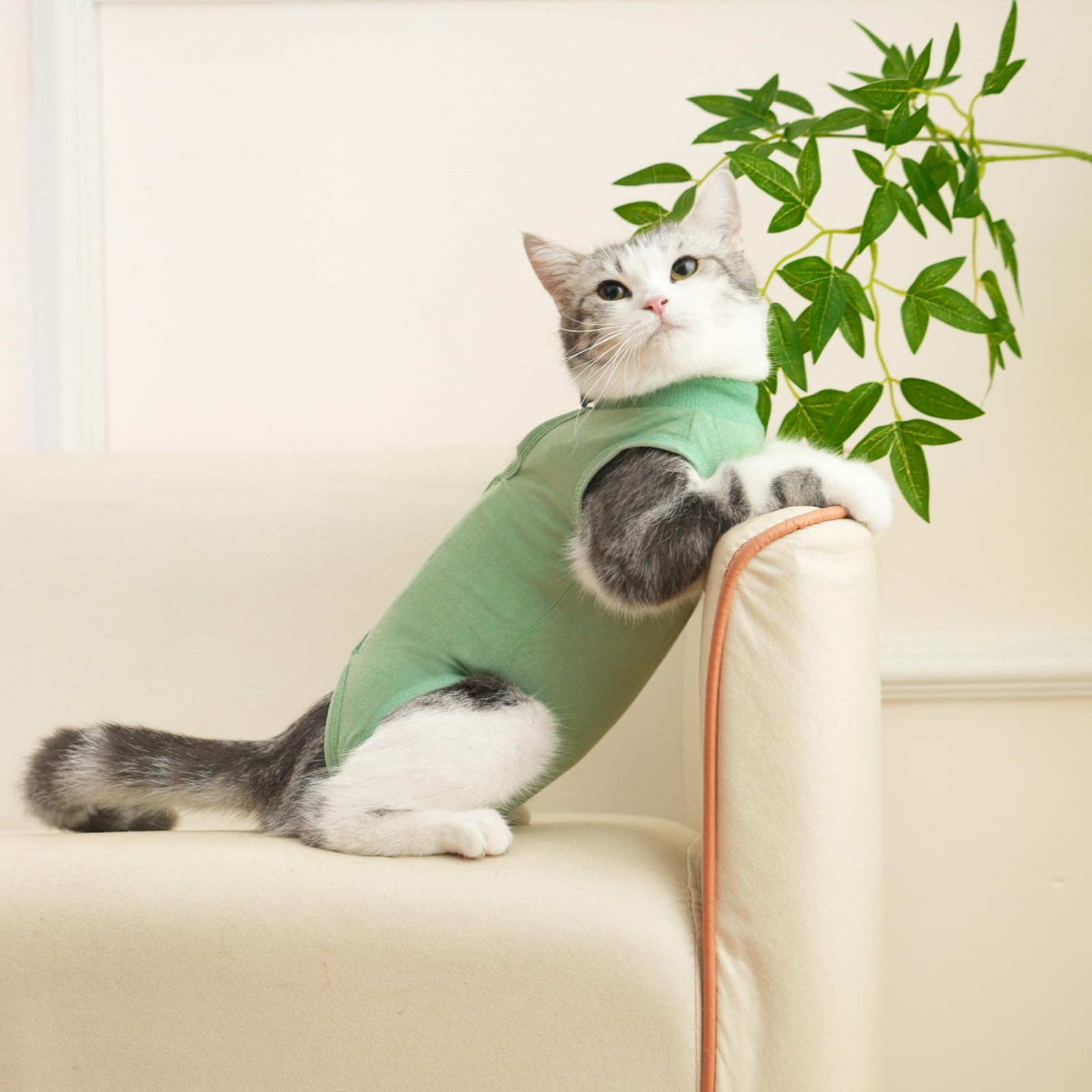 kzrfojy guide tailles chat — tableau des tailles S, M et L pour choisir.