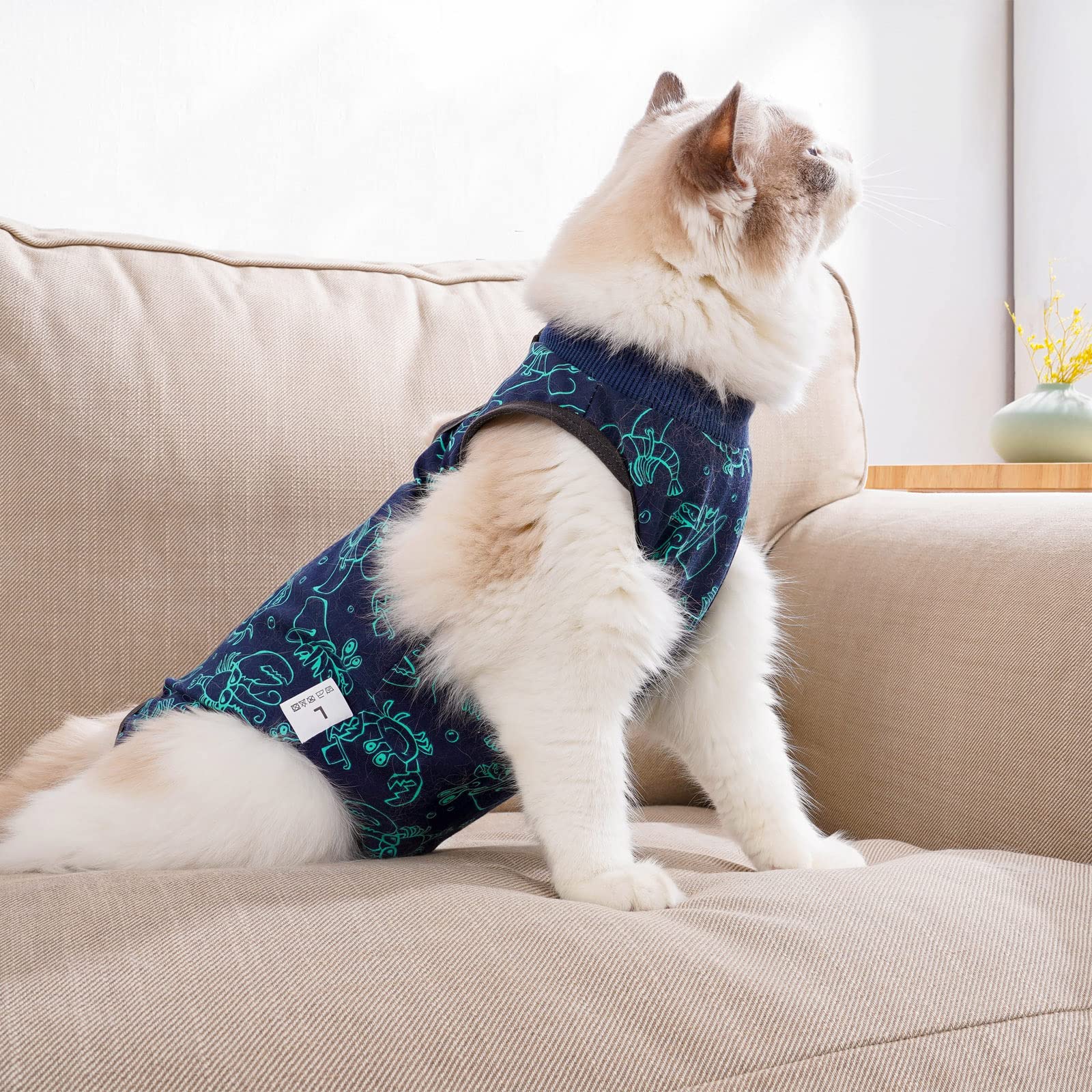 Kzrfojy usage-quotidien-chat-doux: confort quotidien pour jeu et repas