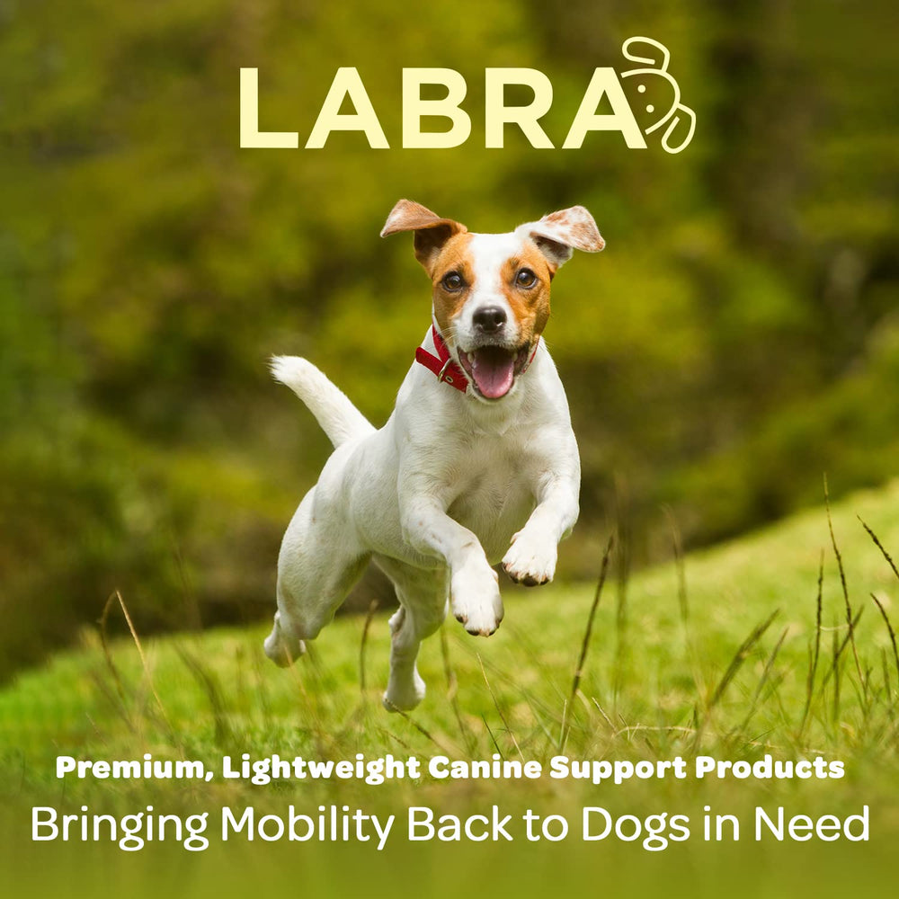 Labra attelle ajustable, soutien fiable pour le jarret arrière.