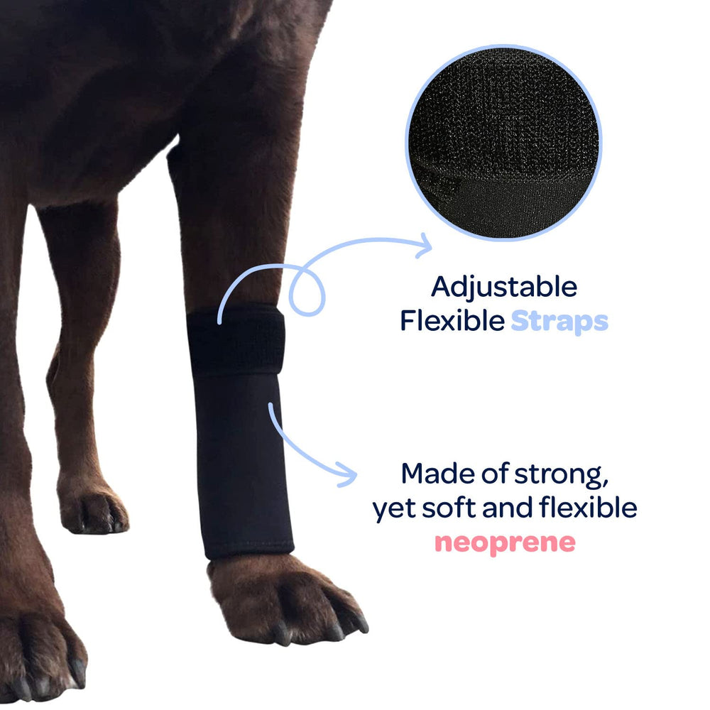 Labra Attelle patte avant offrant un soutien articulation et mobilité en douceur.