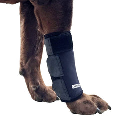 Attelle Labra pour patte avant, compression, soutien et mobilité.