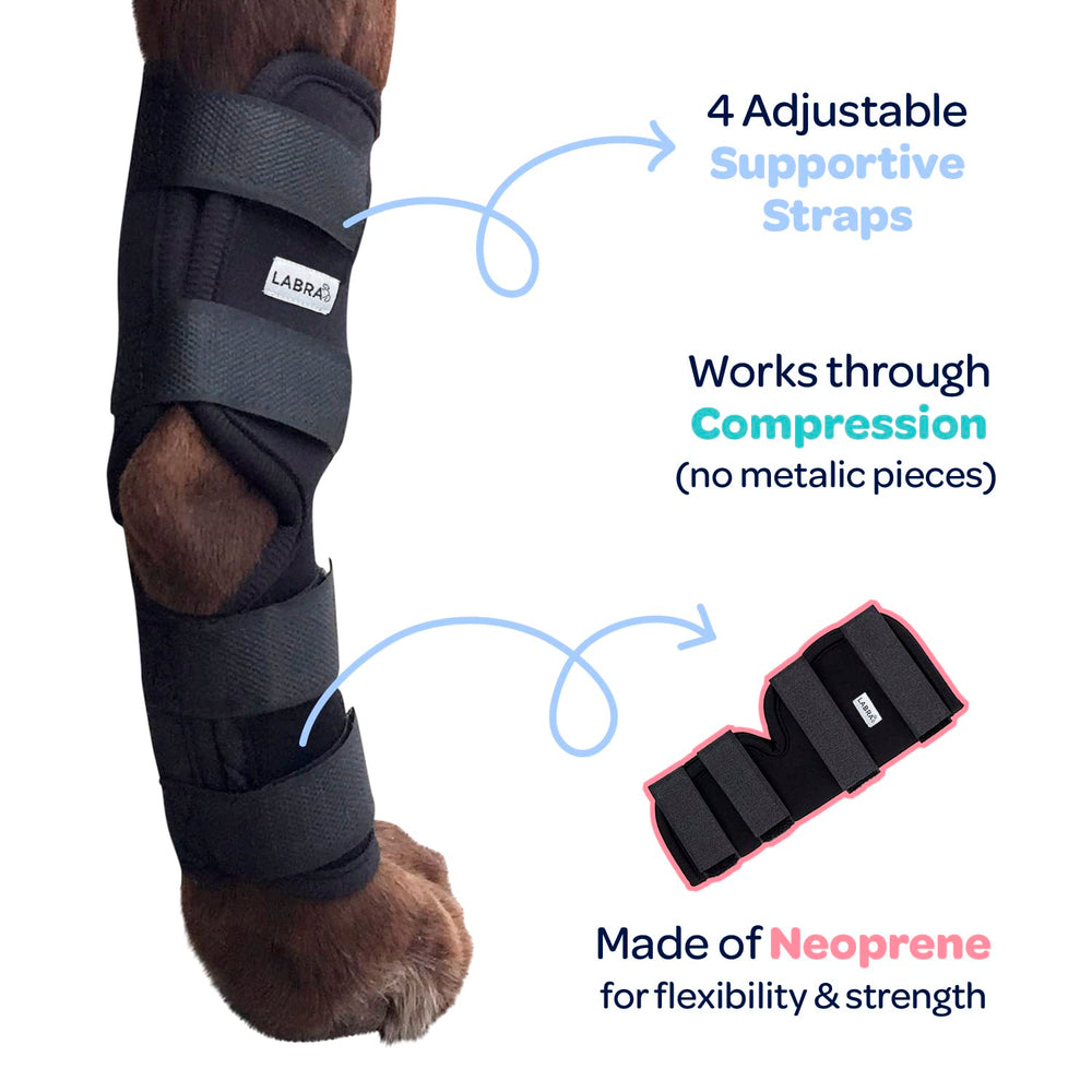 Labra orthèse jarret arrière, protection et confort lors de la récupération.