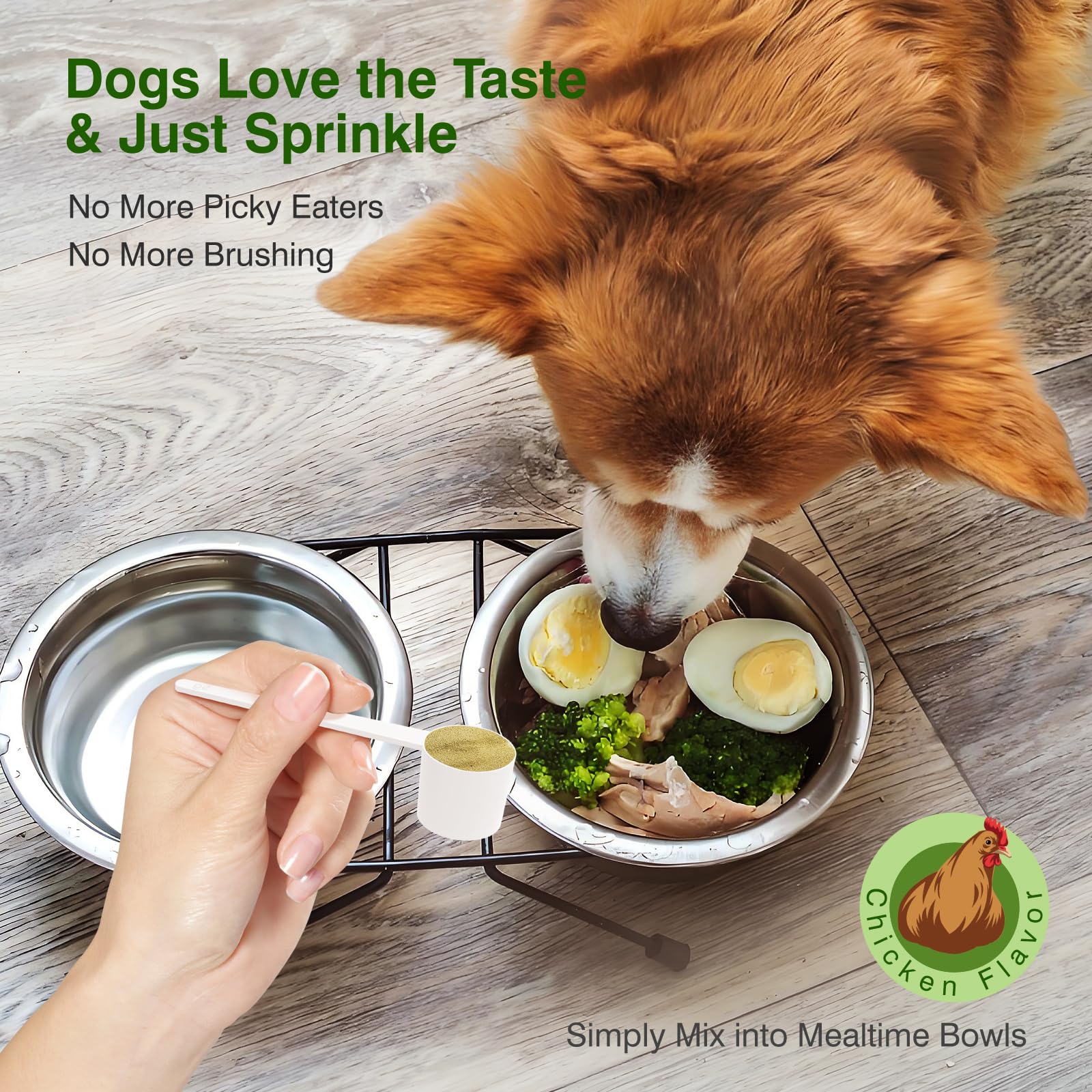 Ladnut poudre dentaire chien utilisation quotidienne sans effort
