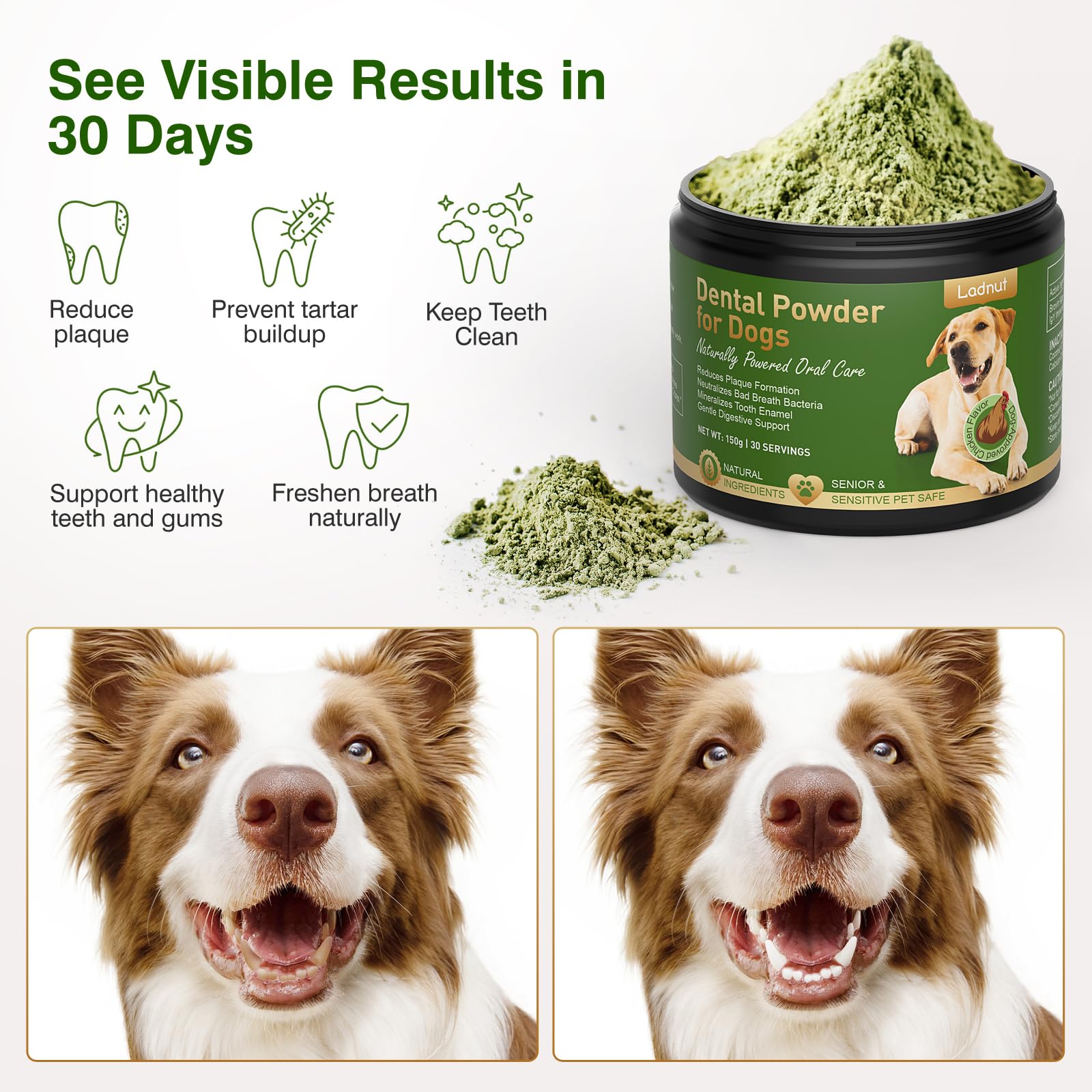 Ladnut poudre dentaire chien versement sur nourriture pour repas facile