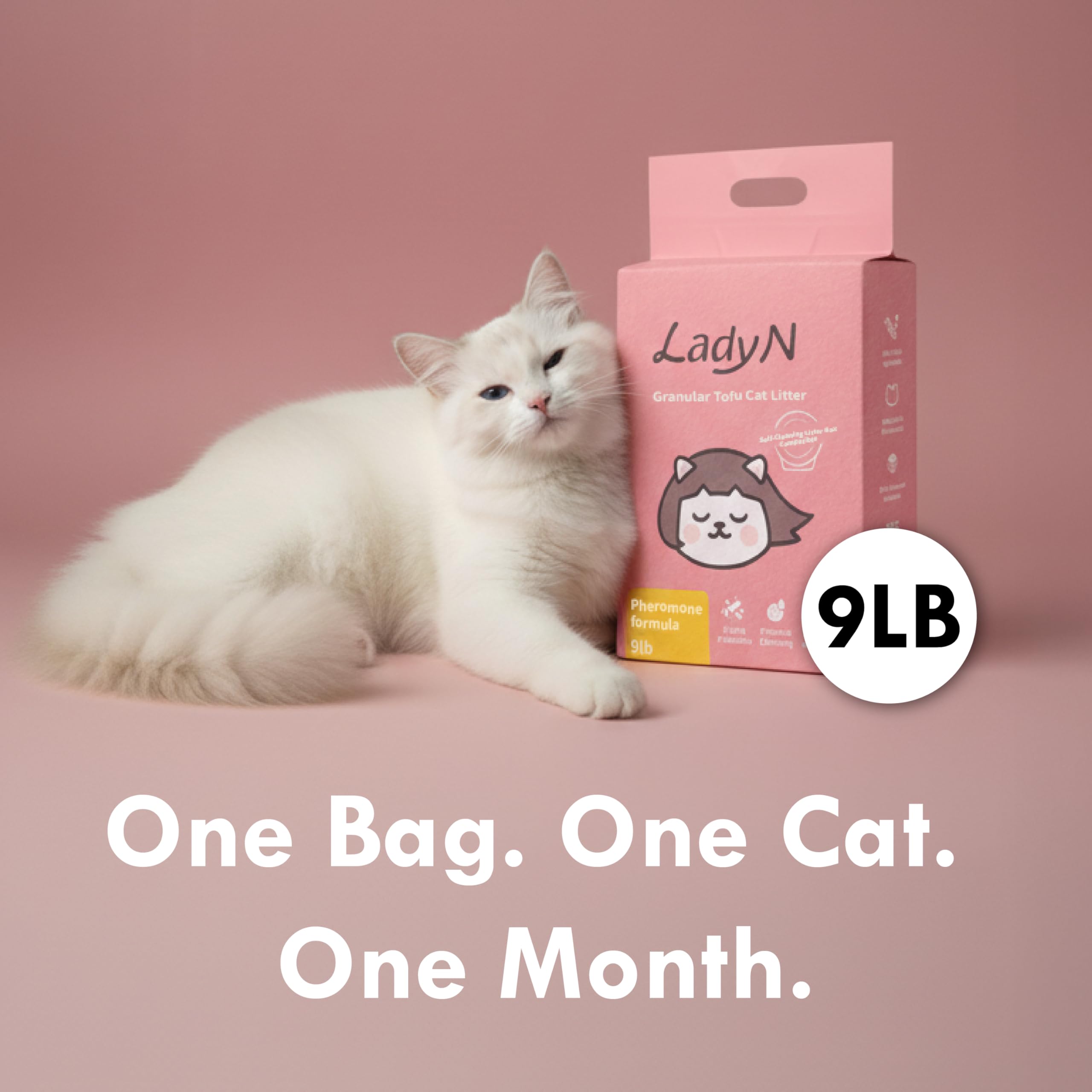 Lady N Litière Chat Attract ToFu Formation chatons – aide l’apprentissage de l’utilisation de la litière
