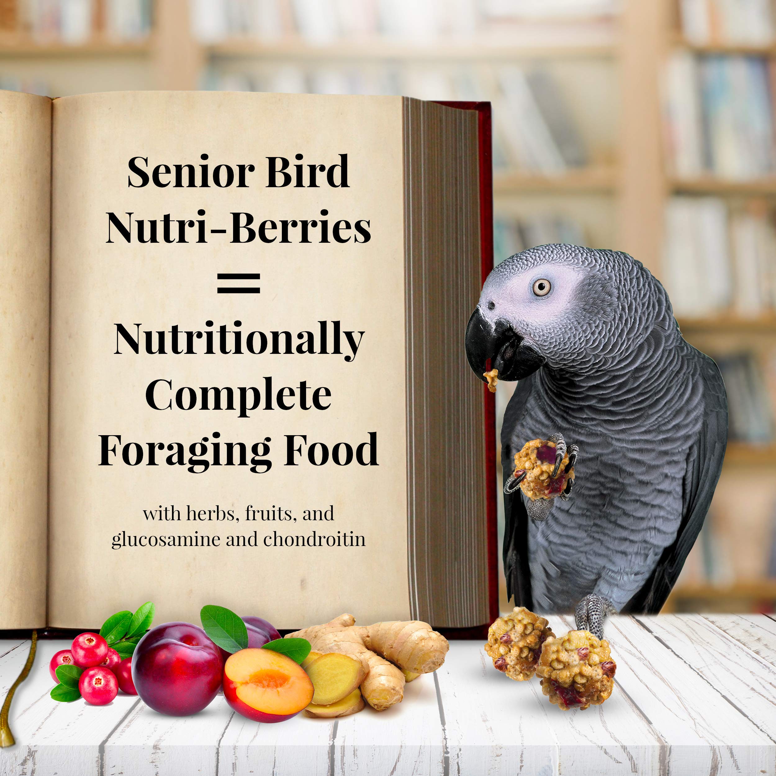 LAFEBER'S Nutri-Berries Senior dans bol – repas appétissant pour perroquets.