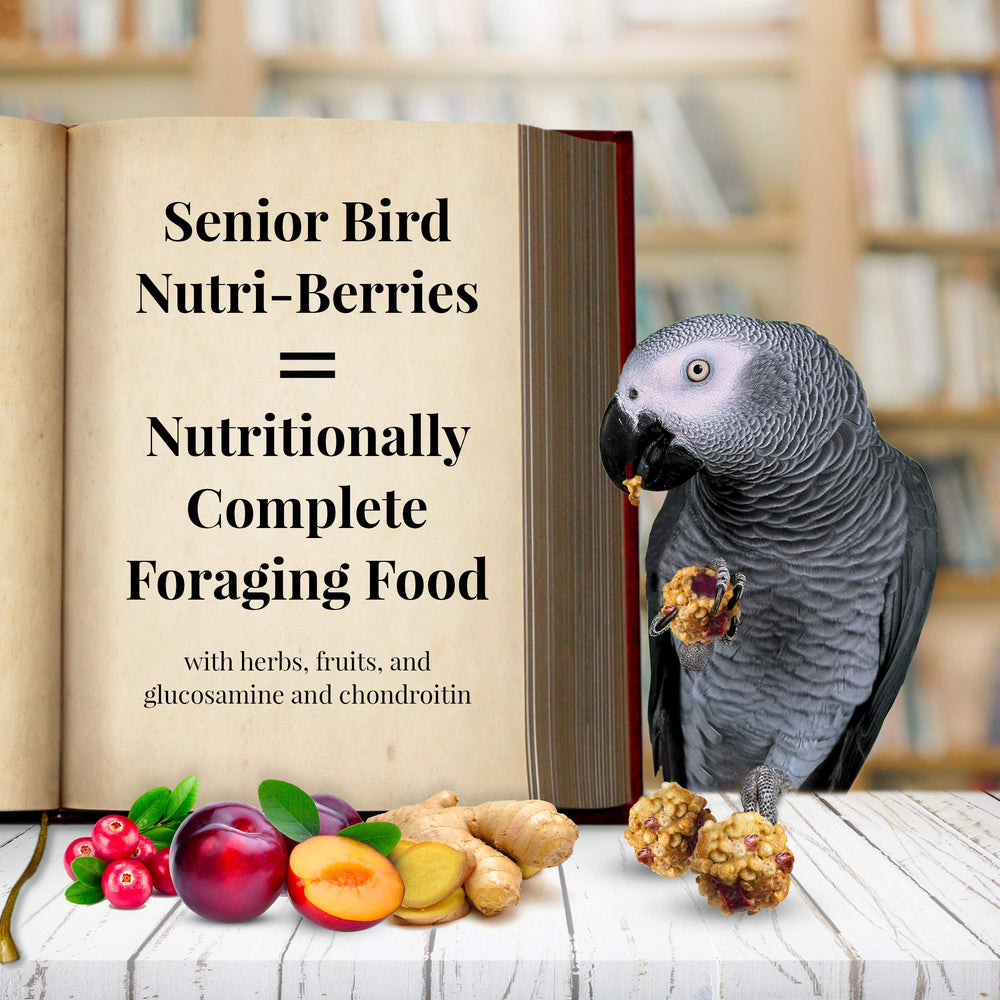 LAFEBER'S Nutri-Berries Senior dans bol – repas appétissant pour perroquets.