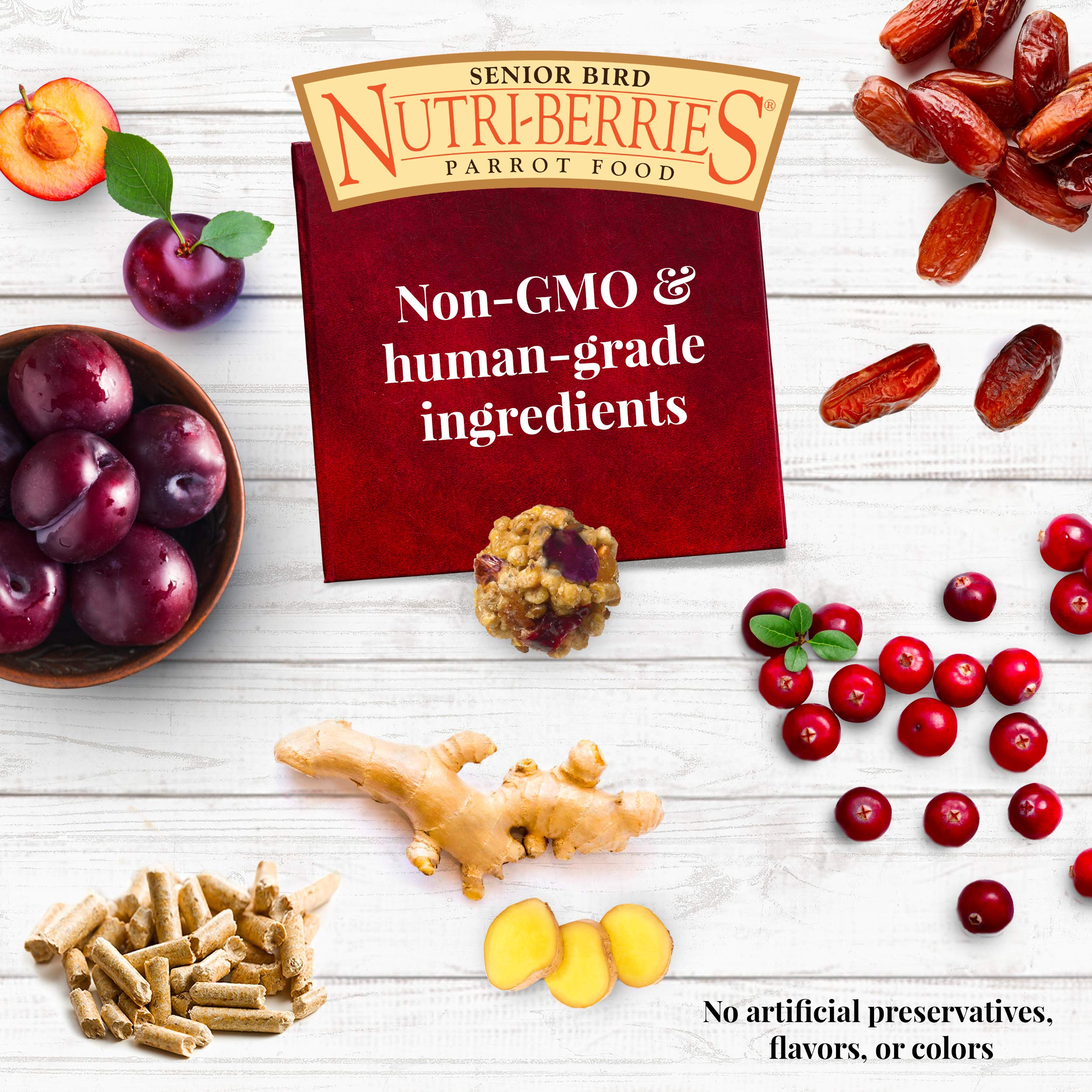 Ingrédients pissenlit – LAFEBER'S Nutri-Berries potentiellement bénéfiques pour les os.