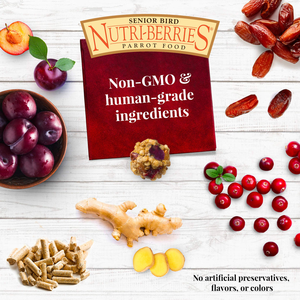 Ingrédients pissenlit – LAFEBER'S Nutri-Berries potentiellement bénéfiques pour les os.