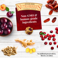 Ingrédients pissenlit – LAFEBER'S Nutri-Berries potentiellement bénéfiques pour les os.