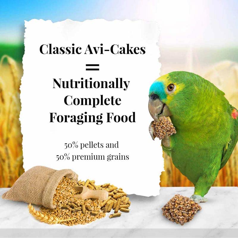 LAFEBER'S Avi-Cakes: portion sur table, snack sain pour perroquets