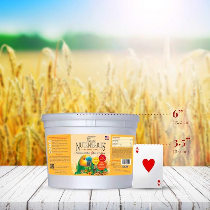 LAFEBER'S Nutri-Berries: présentés dans un bol pour une dégustation facile.