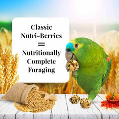 LAFEBER'S Nutri-Berries: sans OGM, pour une alimentation plus naturelle.