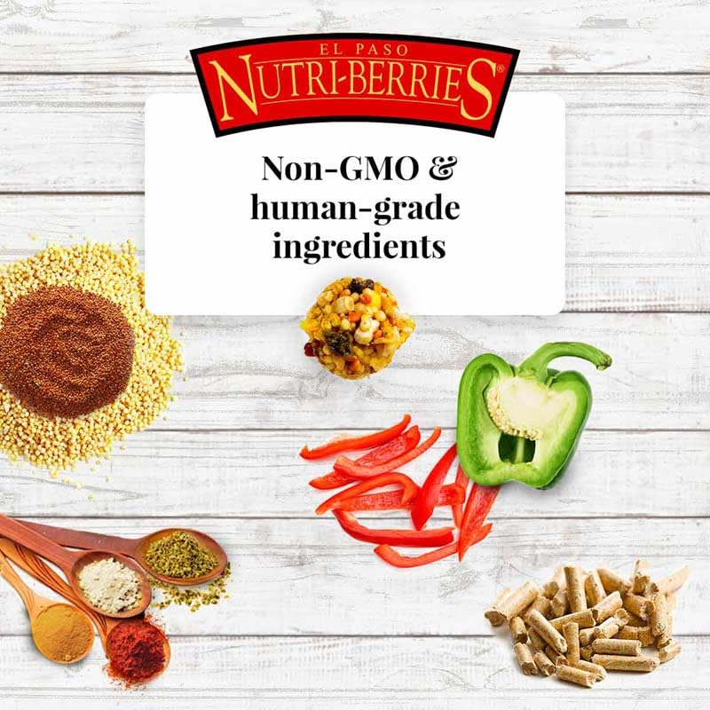 LAFEBER'S El Paso Nutri-Berries service en bol attrayant.