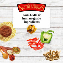LAFEBER'S El Paso Nutri-Berries service en bol attrayant.