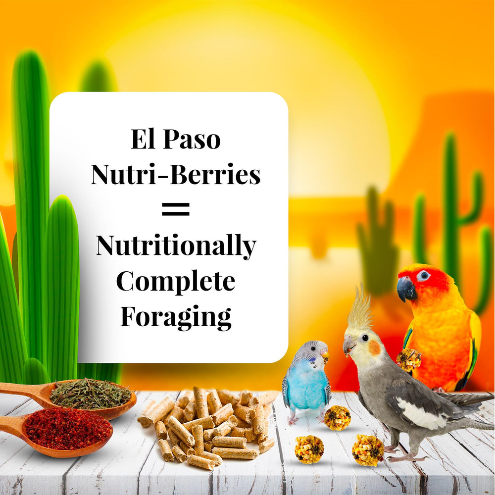 LAFEBER'S El Paso Nutri-Berries avec poivrons rouges et verts visibles, mélange sain