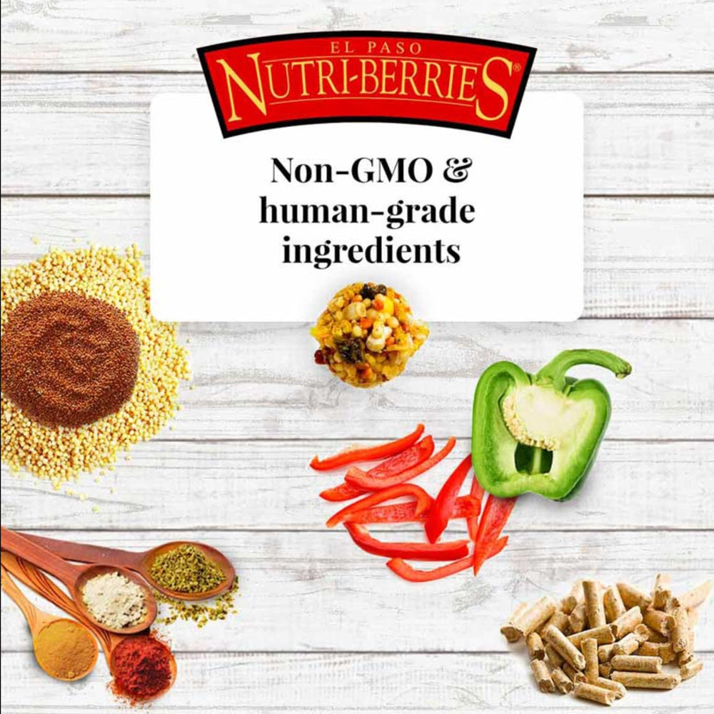 LAFEBER'S El Paso Nutri-Berries sans arômes artificiels, choix naturel pour oiseaux