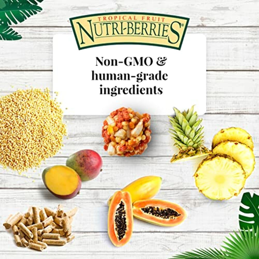 Lafebers Nutri-Berries stimule le forage et l’exercice du bec.