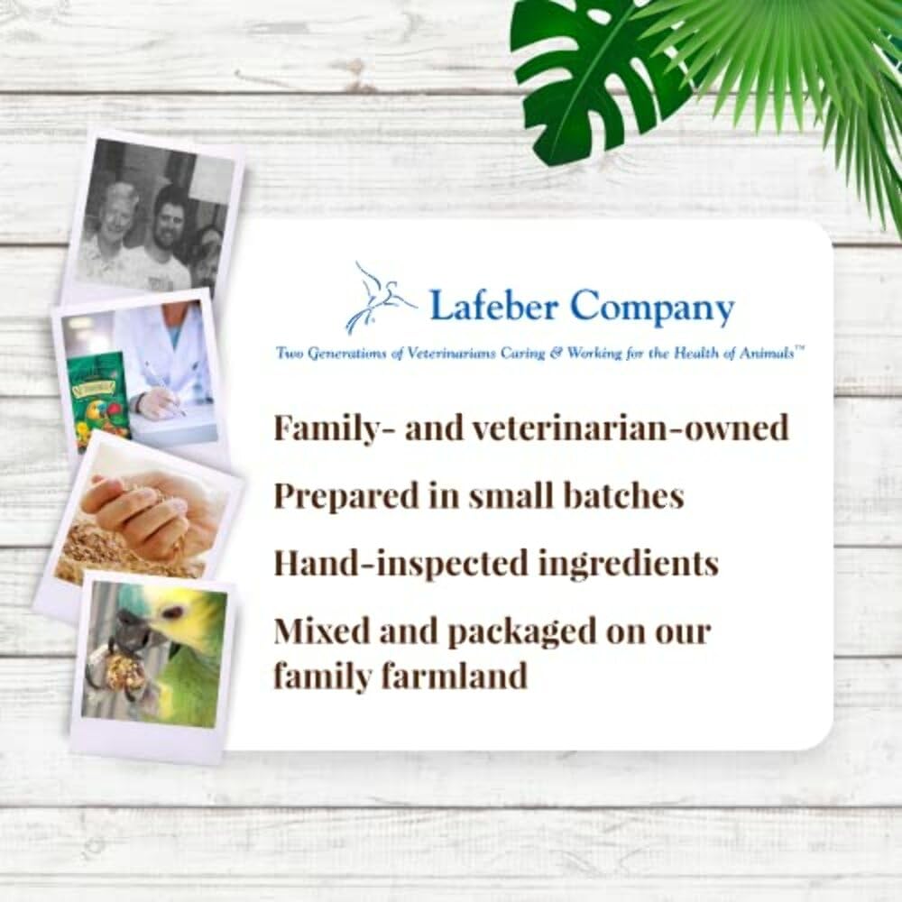 Gourmet pour perroquet Lafebers Nutri-Berries, expérience gustative saine.