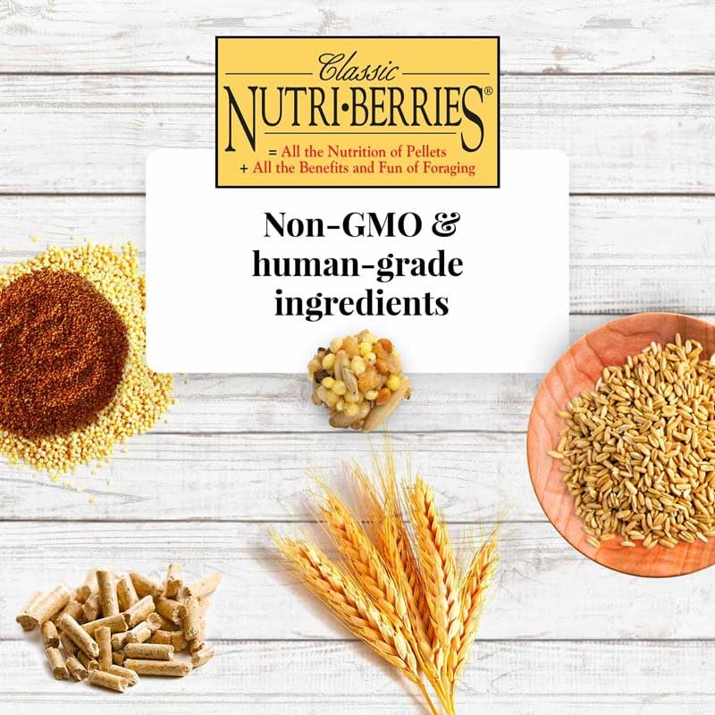 LAFEBER'S Nutri-Berries ingrédients sans OGM et sans additifs – choix naturel.