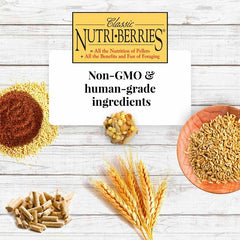 LAFEBER'S Nutri-Berries ingrédients sans OGM et sans additifs – choix naturel.