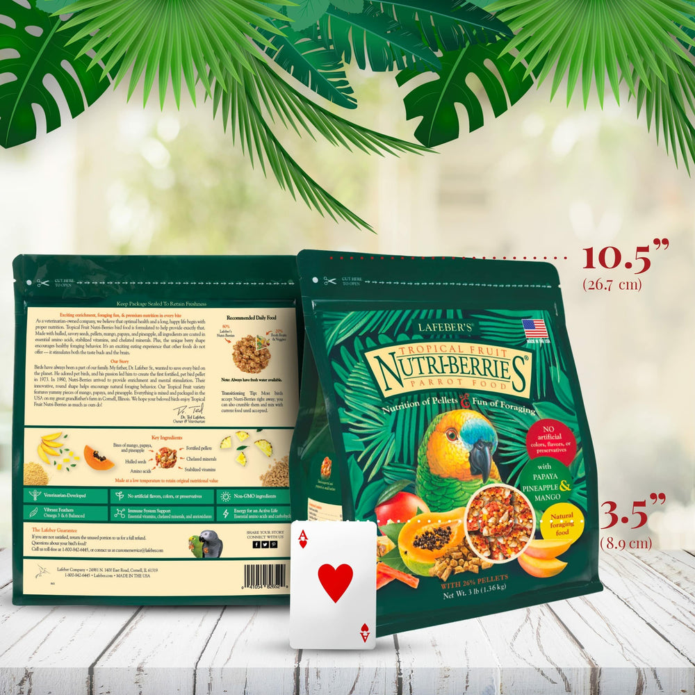 Nourrissage quotidien avec Lafebers Nutri-Berries pour une alimentation équilibrée.