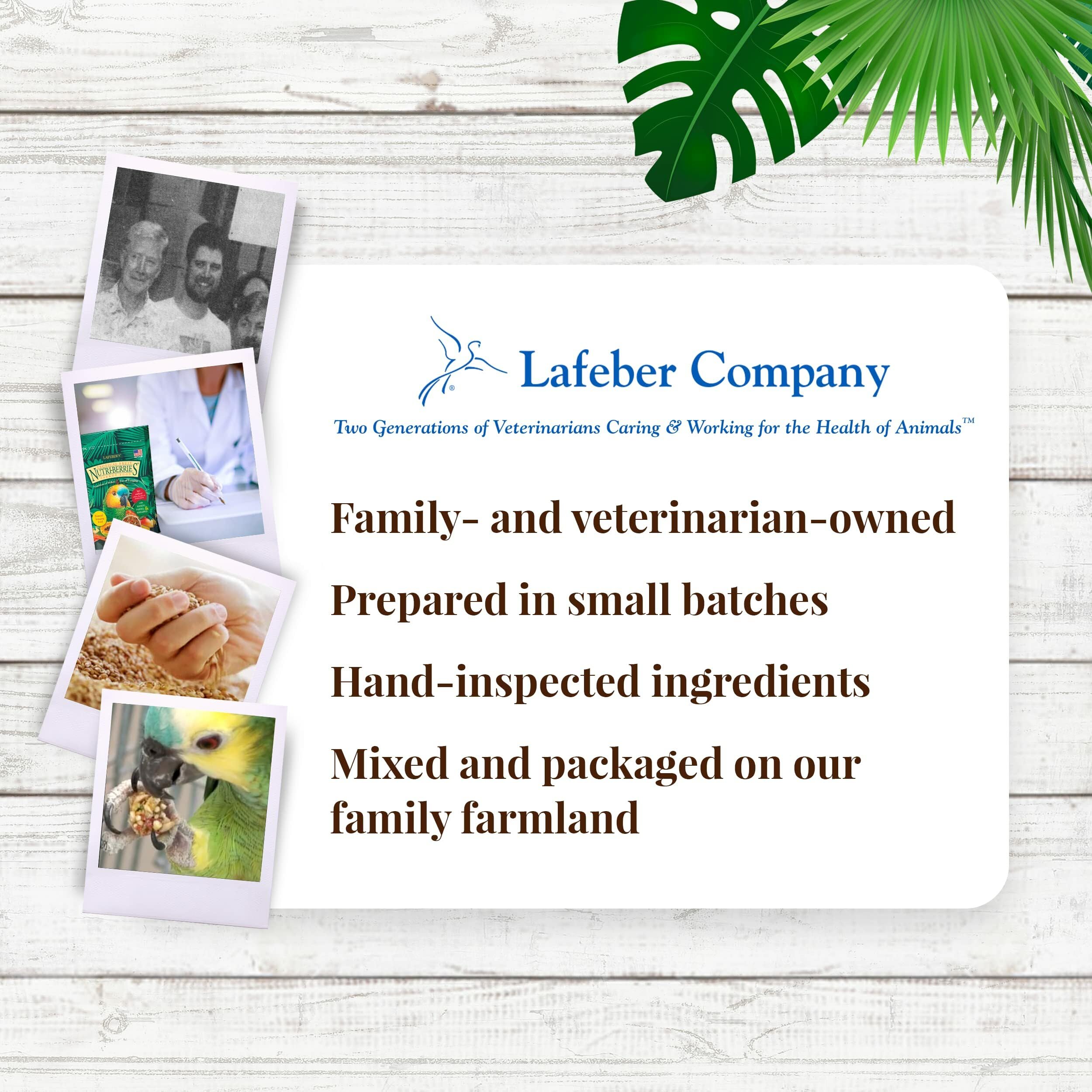 Emballage pratique Lafebers Nutri-Berries, produit par une petite entreprise familiale.